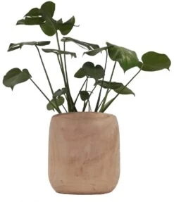 Mica Decorations Pia Bloempot - H31 X Ø31 Cm - Paulownia Hout - Lichtbruin 8 Mica Decorations Pia Bloempot - H31 X Ø31 Cm - Paulownia Hout - Lichtbruin -Tuingereedschaps Winkel 1033x1200 3
