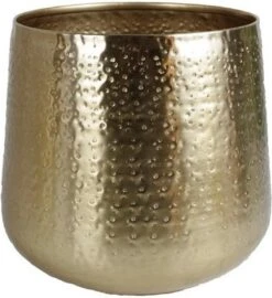 Gina Da - Bloempot - Karakter - Goud - Metaal - 15 Cm Hoog -Tuingereedschaps Winkel 1098x1200 1