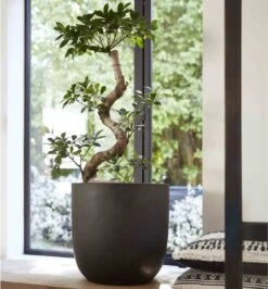 Capi Europe - Bloempot Bol Smooth NL - 35x34 - Zwart - Voor Binnen En Buiten - KBL932 22 Capi Europe - Bloempot Bol Smooth NL - 35x34 - Zwart - Voor Binnen En Buiten - KBL932 -Tuingereedschaps Winkel 1116x1200