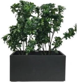Elho Vivo Matt Finish Lang Wielen 90 - Grote Staande Plantenbak Voor Binnen & Buiten - Gemaakt Van Gereycled Plastic - L 39 X W 88 X H 41 Cm - Zwart 14 Elho Vivo Matt Finish Lang Wielen 90 - Grote Staande Plantenbak Voor Binnen & Buiten - Gemaakt Van Gereycled Plastic - L 39 X W 88 X H 41 Cm - Zwart -Tuingereedschaps Winkel 1124x1200 1