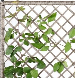 Casaria Polyrattan Bloembak – 3 Bakken Klimophek - Crème -Tuingereedschaps Winkel 1163x1200 2