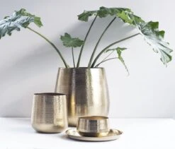 Gina Da - Bloempot - Karakter - Goud - Metaal - 15 Cm Hoog -Tuingereedschaps Winkel 1200x1027