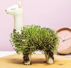 Gift Republic Lama Bloempot Met Zaadjes -Tuingereedschaps Winkel 1200x1137 1