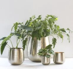 Gina Da - Bloempot - Karakter - Goud - Metaal - 15 Cm Hoog -Tuingereedschaps Winkel 1200x1142 1