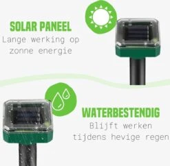 PetsBest Mollenverjager - Mollengranulaat - 2 Pack - Unieke Combinatie - Mollen Bestrijding 11 PetsBest Mollenverjager - Mollengranulaat - 2 Pack - Unieke Combinatie - Mollen Bestrijding -Tuingereedschaps Winkel 1200x1174 1