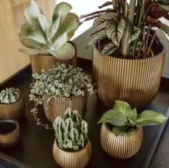 Capi Europe - Bloempot Bol Groove - 23x21 - Goud - Bloempot Voor Binnen - BGVGB134 -Tuingereedschaps Winkel 1200x1191 4