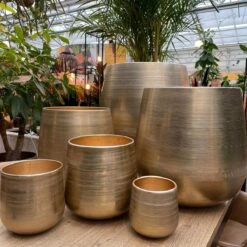 Merkloos Karakter Pot Alu Neo Gold ø40x40cm 7 Merkloos Karakter Pot Alu Neo Gold ø40x40cm -Tuingereedschaps Winkel 1200x1198 11