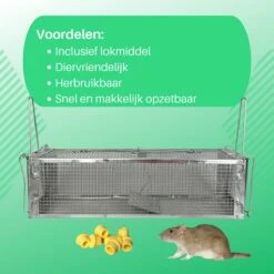 ValueStar Rattenval - Rattenval Voor Buiten - Ongediertebestrijding - Rattenvallen - Ratten - Rattenval Vangkooi -Tuingereedschaps Winkel 1200x1200 311