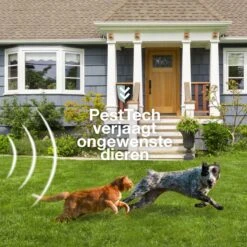 Pest-Tech PT-221 | Ultrasone Kattenverjager Op Zonneenergie | Kattenschrik | Marterverjager | Dierenverjager | Kattenafweermiddel | Ongedierte Verjager - Met USB Oplaadkabel -Tuingereedschaps Winkel 1200x1200 326