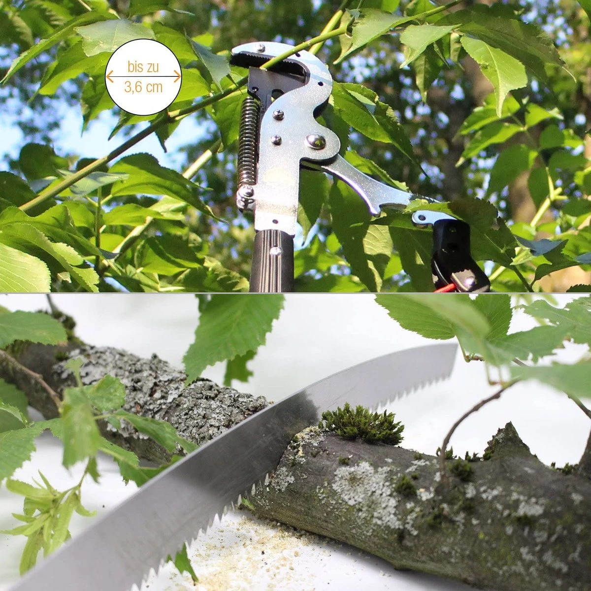 Iceberk Snoeischaar + Snoeizaag (1,45 - 3,70 M) - Telescopische Snoeischaar Voor Het Snoeien Van Bomen En Dichte Struiken Zonder Ladder 5 Iceberk Snoeischaar + Snoeizaag (1,45 - 3,70 M) - Telescopische Snoeischaar Voor Het Snoeien Van Bomen En Dichte Struiken Zonder Ladder - Afbeelding 5