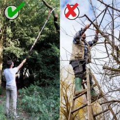 Iceberk Snoeischaar + Snoeizaag (1,45 - 3,70 M) - Telescopische Snoeischaar Voor Het Snoeien Van Bomen En Dichte Struiken Zonder Ladder 11 Iceberk Snoeischaar + Snoeizaag (1,45 - 3,70 M) - Telescopische Snoeischaar Voor Het Snoeien Van Bomen En Dichte Struiken Zonder Ladder -Tuingereedschaps Winkel 1200x1200 358