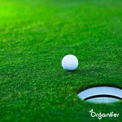 Gazonmest All-In-One (20Kg - Voor 400m2) Voor Een Diepgroen Sterk Gazon Zonder Mos En Onkruid - Complete Meststof Met Kalk En Grasversterker - Organifer -Tuingereedschaps Winkel 1200x1200 498