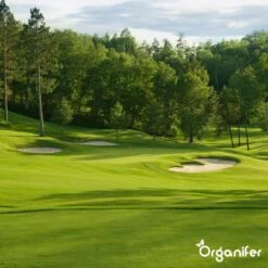 Gazonmest All-In-One (20Kg - Voor 400m2) Voor Een Diepgroen Sterk Gazon Zonder Mos En Onkruid - Complete Meststof Met Kalk En Grasversterker - Organifer -Tuingereedschaps Winkel 1200x1200 499