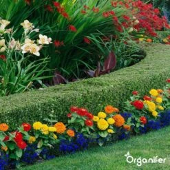 Lavagruis Uit Eifel Oergesteente (20Kg Voor 200m2) Grof Lavameel 0-2mm - Organifer 20 Lavagruis Uit Eifel Oergesteente (20Kg Voor 200m2) Grof Lavameel 0-2mm - Organifer -Tuingereedschaps Winkel 1200x1200 507