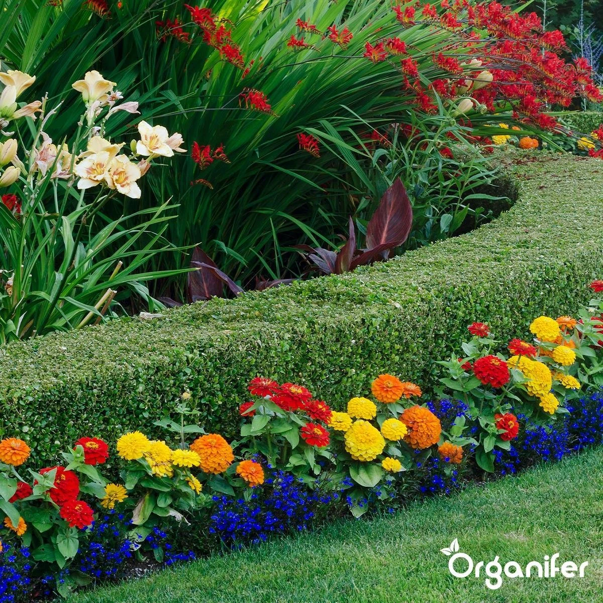 Lavagruis Uit Eifel Oergesteente (20Kg Voor 200m2) Grof Lavameel 0-2mm - Organifer 6 Lavagruis Uit Eifel Oergesteente (20Kg Voor 200m2) Grof Lavameel 0-2mm - Organifer - Afbeelding 6