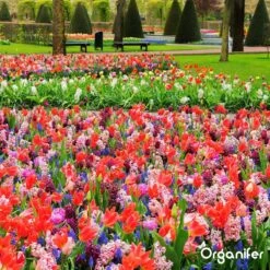 Lavagruis Uit Eifel Oergesteente (20Kg Voor 200m2) Grof Lavameel 0-2mm - Organifer 21 Lavagruis Uit Eifel Oergesteente (20Kg Voor 200m2) Grof Lavameel 0-2mm - Organifer -Tuingereedschaps Winkel 1200x1200 508