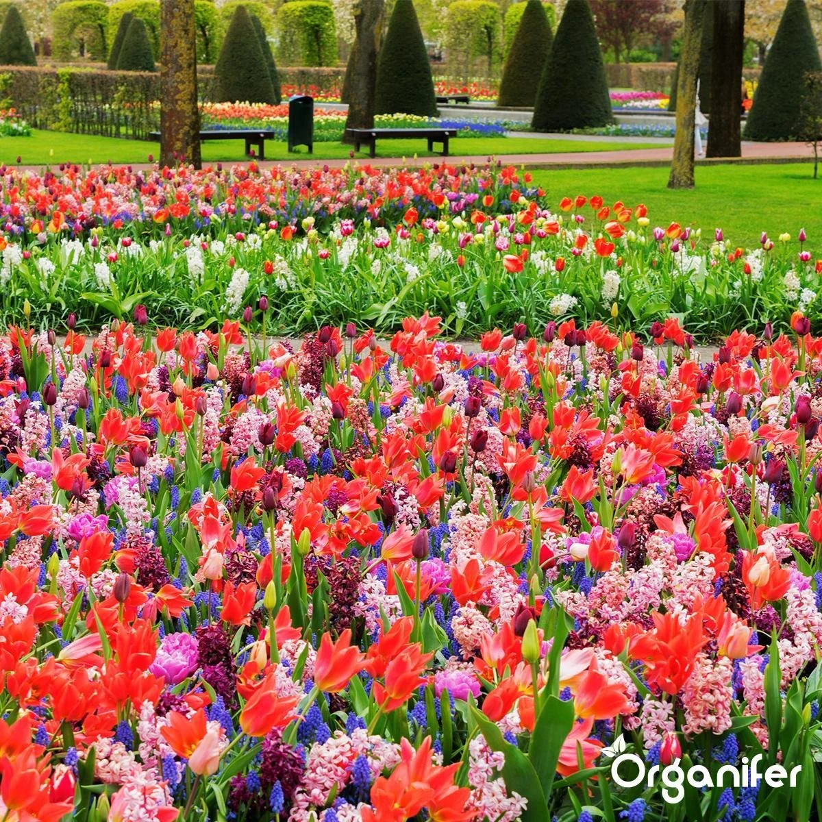 Lavagruis Uit Eifel Oergesteente (20Kg Voor 200m2) Grof Lavameel 0-2mm - Organifer 7 Lavagruis Uit Eifel Oergesteente (20Kg Voor 200m2) Grof Lavameel 0-2mm - Organifer - Afbeelding 7