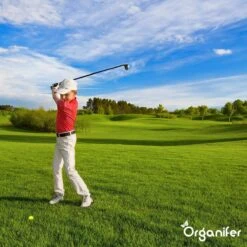 Lavagruis Uit Eifel Oergesteente (20Kg Voor 200m2) Grof Lavameel 0-2mm - Organifer 22 Lavagruis Uit Eifel Oergesteente (20Kg Voor 200m2) Grof Lavameel 0-2mm - Organifer -Tuingereedschaps Winkel 1200x1200 509