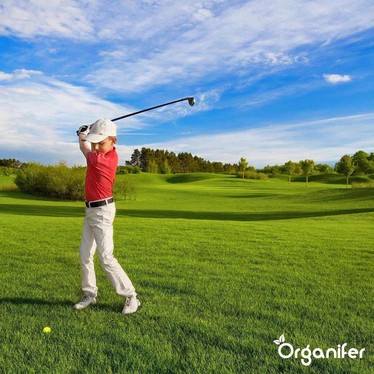 Lavagruis Uit Eifel Oergesteente (20Kg Voor 200m2) Grof Lavameel 0-2mm - Organifer 8 Lavagruis Uit Eifel Oergesteente (20Kg Voor 200m2) Grof Lavameel 0-2mm - Organifer - Afbeelding 8
