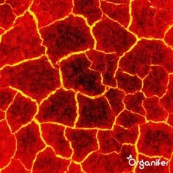 Lavagruis Uit Eifel Oergesteente (20Kg Voor 200m2) Grof Lavameel 0-2mm - Organifer 23 Lavagruis Uit Eifel Oergesteente (20Kg Voor 200m2) Grof Lavameel 0-2mm - Organifer -Tuingereedschaps Winkel 1200x1200 510