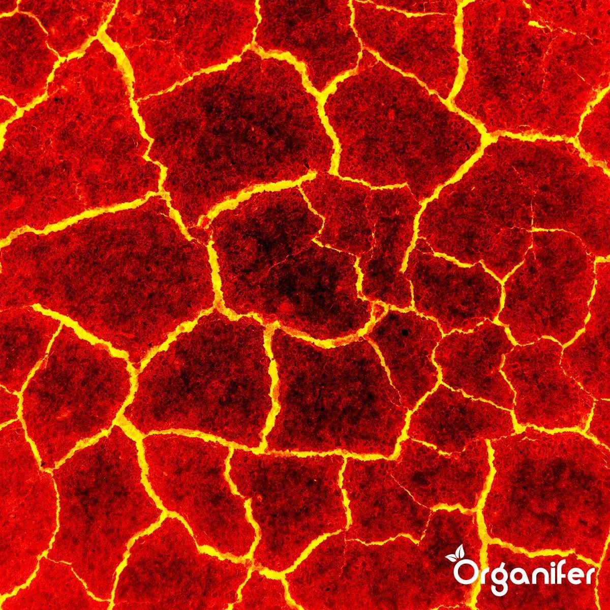Lavagruis Uit Eifel Oergesteente (20Kg Voor 200m2) Grof Lavameel 0-2mm - Organifer 9 Lavagruis Uit Eifel Oergesteente (20Kg Voor 200m2) Grof Lavameel 0-2mm - Organifer - Afbeelding 9