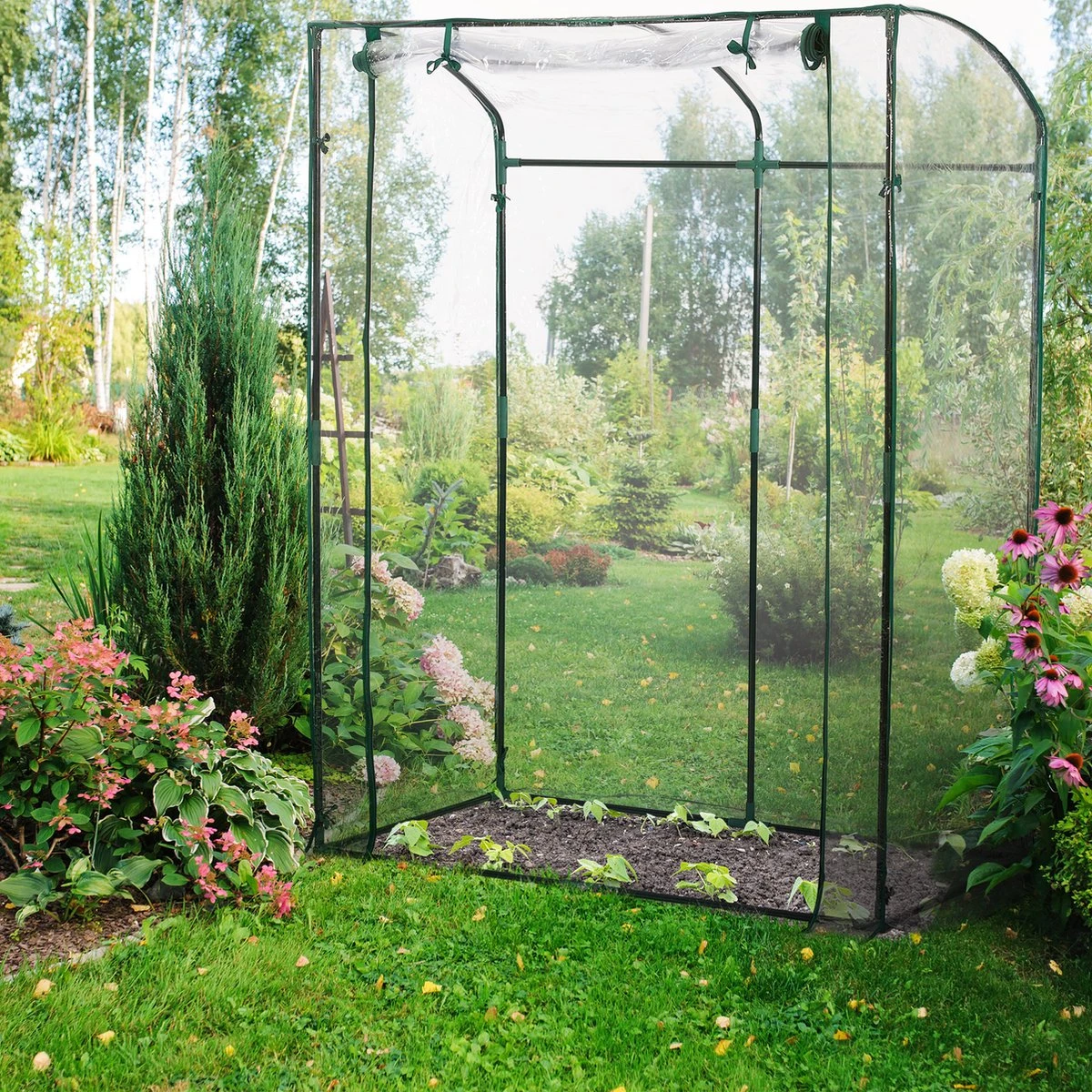 Relaxdays Tomatenkas 170 X 130 X 75 Cm - Folie Tuinkas - Grote Tomaten Kweekkas - Foliekas 2 Relaxdays Tomatenkas 170 X 130 X 75 Cm - Folie Tuinkas - Grote Tomaten Kweekkas - Foliekas - Afbeelding 2