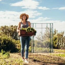 Relaxdays Tomatenkas 170 X 130 X 75 Cm - Folie Tuinkas - Grote Tomaten Kweekkas - Foliekas 15 Relaxdays Tomatenkas 170 X 130 X 75 Cm - Folie Tuinkas - Grote Tomaten Kweekkas - Foliekas -Tuingereedschaps Winkel 1200x1200 716