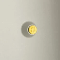 Elho Vivo Structure Finish Lang 90 - Plantenbak Voor Binnen & Buiten - Ø 88 X H 41 - Wit 24 Elho Vivo Structure Finish Lang 90 - Plantenbak Voor Binnen & Buiten - Ø 88 X H 41 - Wit -Tuingereedschaps Winkel 1200x1200 726