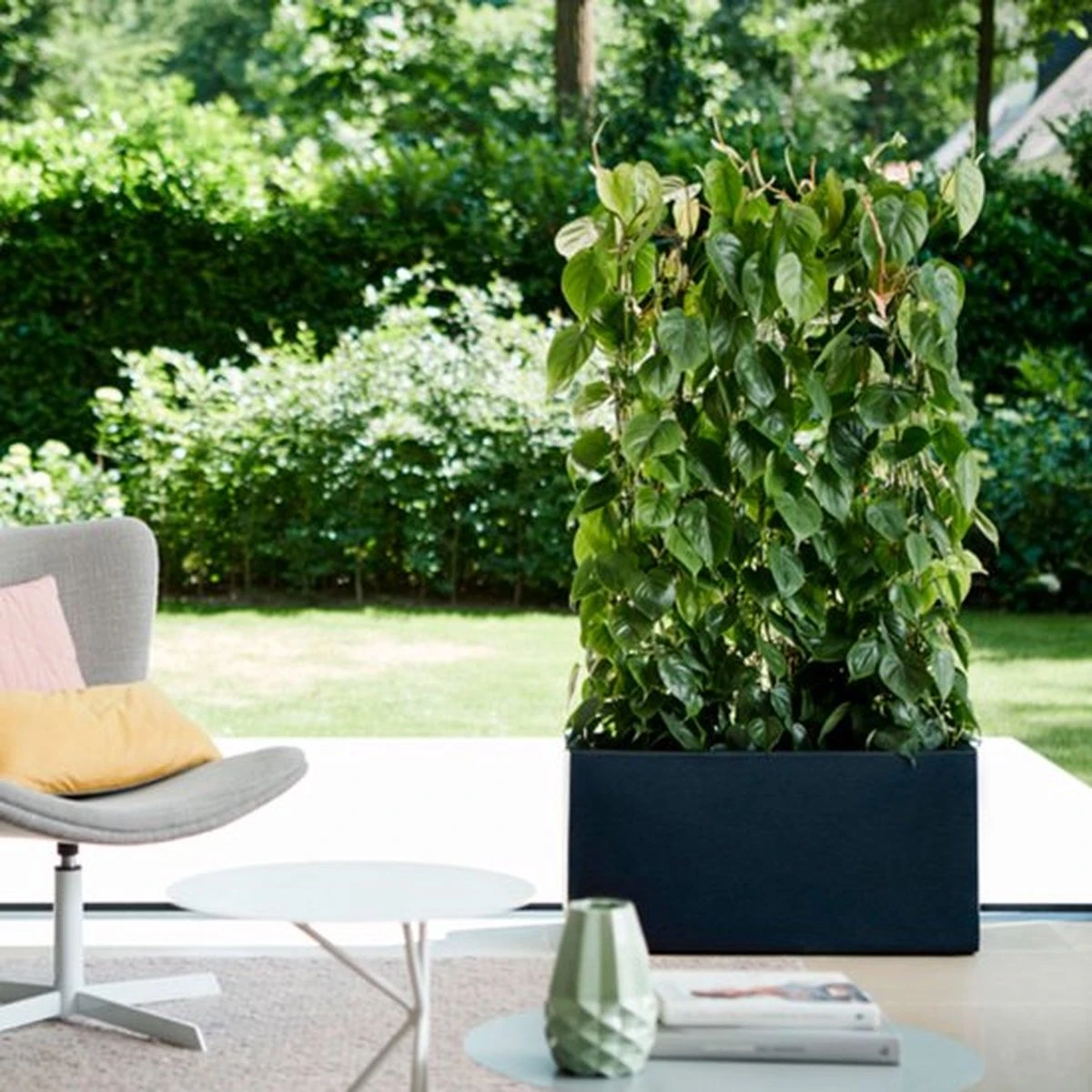 Elho Vivo Matt Finish Lang Wielen 90 - Grote Staande Plantenbak Voor Binnen & Buiten - Gemaakt Van Gereycled Plastic - L 39 X W 88 X H 41 Cm - Zwart 6 Elho Vivo Matt Finish Lang Wielen 90 - Grote Staande Plantenbak Voor Binnen & Buiten - Gemaakt Van Gereycled Plastic - L 39 X W 88 X H 41 Cm - Zwart - Afbeelding 6