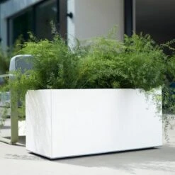 Elho Vivo Matt Finish Lang Wielen 90 - Grote Staande Plantenbak Voor Binnen & Buiten - Gemaakt Van Gereycled Plastic - L 39 X W 88 X H 41 Cm - Wit 16 Elho Vivo Matt Finish Lang Wielen 90 - Grote Staande Plantenbak Voor Binnen & Buiten - Gemaakt Van Gereycled Plastic - L 39 X W 88 X H 41 Cm - Wit -Tuingereedschaps Winkel 1200x1200 732