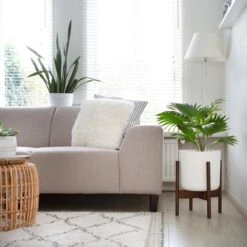 LifeGoods Planten Standaard - Uitschuifbare Bloempothouder - 20 Tot 30 Cm - Donker Bamboe 12 LifeGoods Planten Standaard - Uitschuifbare Bloempothouder - 20 Tot 30 Cm - Donker Bamboe -Tuingereedschaps Winkel 1200x1200 742