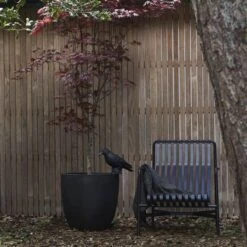 Capi Europe - Bloempot Bol Smooth NL - 35x34 - Zwart - Voor Binnen En Buiten - KBL932 23 Capi Europe - Bloempot Bol Smooth NL - 35x34 - Zwart - Voor Binnen En Buiten - KBL932 -Tuingereedschaps Winkel 1200x1200 750