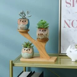Luxe Bamboe Houten Boom Met 3 Keramiek Uil Bloempotten/Plantenpotten Op Standaard/Voet Voor Binnen En Buiten - Modern Design Bloempot/Plantenpot Op Poten/Pootjes-Plantenbak Mini Cactus Nep Plant Pot Houder - Kleine Bloembakken Plantenrek/Plantenkurk -Tuingereedschaps Winkel 1200x1200 794