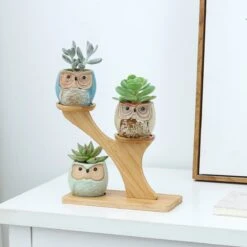 Luxe Bamboe Houten Boom Met 3 Keramiek Uil Bloempotten/Plantenpotten Op Standaard/Voet Voor Binnen En Buiten - Modern Design Bloempot/Plantenpot Op Poten/Pootjes-Plantenbak Mini Cactus Nep Plant Pot Houder - Kleine Bloembakken Plantenrek/Plantenkurk -Tuingereedschaps Winkel 1200x1200 795