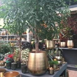 Merkloos Bloempot Karakter Goud - L 11 Merkloos Bloempot Karakter Goud - L -Tuingereedschaps Winkel 1200x1200 805