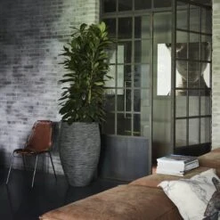 Capi Europe - Vaas Elegant Deluxe Rib NL - 40x60 - Antraciet - Voor Binnen En Buiten - KOFZ1131 17 Capi Europe - Vaas Elegant Deluxe Rib NL - 40x60 - Antraciet - Voor Binnen En Buiten - KOFZ1131 -Tuingereedschaps Winkel 1200x1200 811