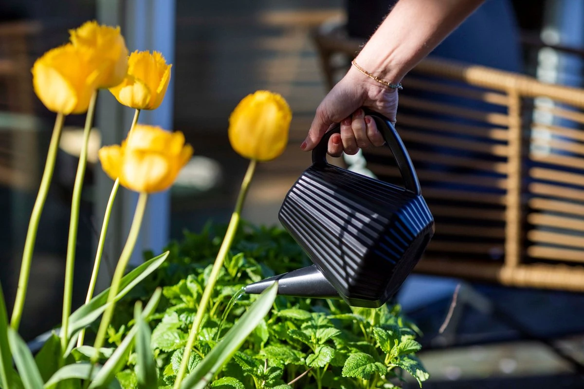 Xala - Gieter Doppio Groove 2L Olijfgrijs 3 Xala - Gieter Doppio Groove 2L Olijfgrijs - Afbeelding 3