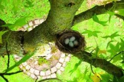 Gardigo Kattenafweergordel -Tuingereedschaps Winkel 1200x799 6