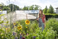 GARDENA - Comfort Broeskop - 5 Straalsoorten - Grijs -Tuingereedschaps Winkel 1200x800 117