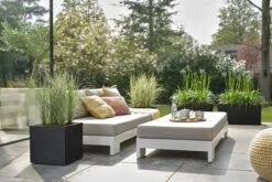 Elho Vivo Next Vierkant 40 - Plantenbak Voor Binnen & Buiten - Ø 39.0 X H 37.9 Cm - Zwart/Living Black -Tuingereedschaps Winkel 1200x800 165