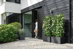 Elho Vivo Next Vierkant 40 - Plantenbak Voor Binnen & Buiten - Ø 39.0 X H 37.9 Cm - Zwart/Living Black -Tuingereedschaps Winkel 1200x800 167