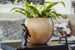 Capi Europe - Vaas Bol Groove XL - 63x51 - Goud - Bloempot Voor Binnen - Opening ⌀42 - GVGB271 -Tuingereedschaps Winkel 1200x800 171