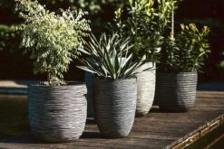 Capi Europe - Bloempot Bol Rib NL - 35x34 - Antraciet - Voor Binnen En Buiten - KOFZ932 -Tuingereedschaps Winkel 1200x800 173