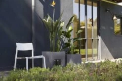 Capi Europe - Bloempot Vierkant Smooth NL - 50x50x50 - Zwart - Voor Binnen En Buiten - KBL904 -Tuingereedschaps Winkel 1200x800 176