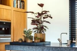 Capi Europe - Vaas Bol Groove XL - 39x33 - Goud - Bloempot Voor Binnen - Opening ⌀24 - GVGB270 -Tuingereedschaps Winkel 1200x800 180