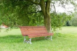 MaximaVida Tuinbank Budapest Oil 170 Cm - Uit Exclusief Mahoniehout -Tuingereedschaps Winkel 1200x800 63