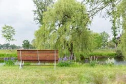 MaximaVida Tuinbank Budapest Oil 170 Cm - Uit Exclusief Mahoniehout -Tuingereedschaps Winkel 1200x800 64