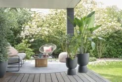 Elho Pure Coupe 41 - Bloempot Voor Binnen & Buiten - Ø 41.3 X H 57.9 Cm - Zwart/Zwart -Tuingereedschaps Winkel 1200x805 2