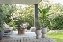 Elho Pure Coupe 41 - Bloempot Voor Binnen & Buiten - Ø 41.3 X H 57.9 Cm - Beige/Balanced Beige -Tuingereedschaps Winkel 1200x808 4