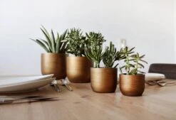 Capi Europe - Set Van 4 - Bloempot Binnen - Retro - - Goud - Bloempot Voor Binnen - BOX-BRTG-4 -Tuingereedschaps Winkel 1200x820 3